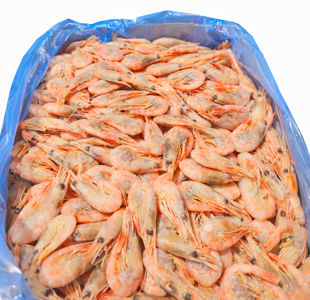 Креветка северная 90+